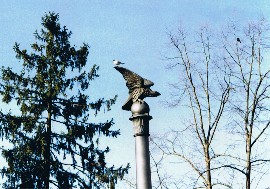 Orzeł na kolumnie przed Muzeum Polskim w Rapperswilu (Foto JSS)